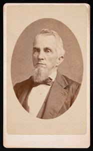 Porträtt av John Cummings, 1876. av Centennial Photographic Company