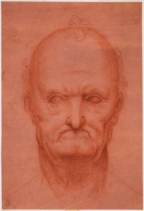 Hoved af gammel mand, ca. 1515 (blod på forberedt rødt papir)swed av Cesare da attr.to Sesto