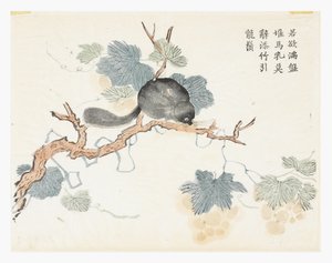 Senapsfröträdgård av Chang Chao