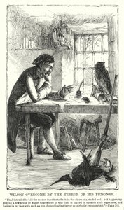 Wilson överväldigad av skräcken från sin fånge (gravyr) av Charles Altamont Doyle