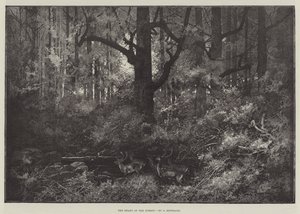 Skogens hjärta av Charles Auguste Loye