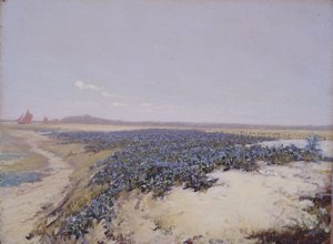 Blomsterbeklädda sanddyner (olja på duk) av Charles Augustus Lasar