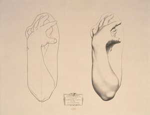 Bent Arm of a Woman, tallrik 22 från Cours de Dessin Volym I, Modeles dapres la bosse, ca 1868