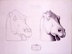 Hästhuvud från West Pediment of the Parthenon, skylt 47 från Cours de Dessin, ca 1898
