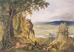 Comuti eller Taquiare Rock, vid floden Essequibo, från "Views in the Interior of Guyana", graverad av puben George Barnard (fl.1832-90). av Ackermann, 1840