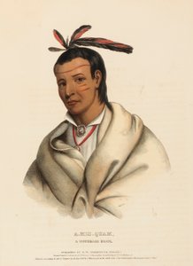 A-MIS-QUAM, EN BRAVE FRÅN WINNEBAGO, ur Nordamerikas indianstammars historia av Charles Bird King