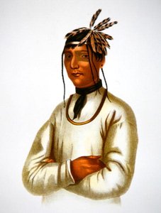 Caatousee av Chippewa-stammen (färglitografi) av Charles Bird King
