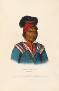 Foke-Luste-Hajo – En seminole