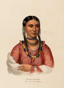 HAYNE-HUDJIHINI. THE EAGLE OF DELIGHT, från Historien om Nordamerikas indianstammar av Charles Bird King