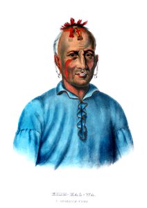 Kishkalwa, en Shawnee-hövding av Charles Bird King