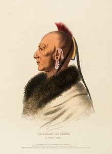 LE SOLDAT DU CHENE, EN OSAGE-HÖVUDMAN, från Historien om indianstammarna i Nordamerika av Charles Bird King