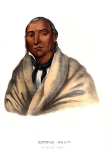 Little Crow, en Sioux-hövding