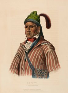ME-NA-WA. EN CREEK-KRIGER, ur Historien om Nordamerikas indianstammar av Charles Bird King