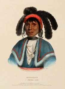 MICANOPY. A SEMINOLE CHIEF., från Historien om indianstammarna i Nordamerika av Charles Bird King