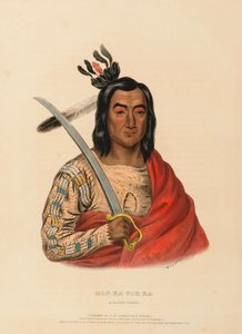 MON-KA-USH-KA. A SIOUX CHIEF., från Historia om indianstammarna i Nordamerika av Charles Bird King