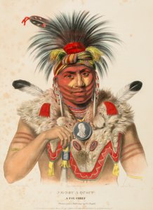 NE-SOU-A-QUOIT. A FOX CHIEF, från Historia om indianstammarna i Nordamerika av Charles Bird King