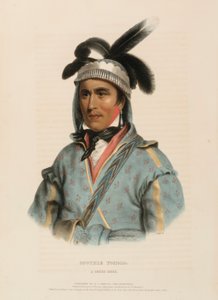 OPOTHLE YOHOLO. A CREEK CHIEF, från Historien om Nordamerikas indianstammar av Charles Bird King