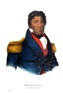 Pushmataha, en Choctaw-krigare