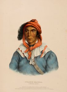 TULCEE-MATHLA. A SEMINOLE CHIEF., från Historien om Nordamerikas indianstammar av Charles Bird King