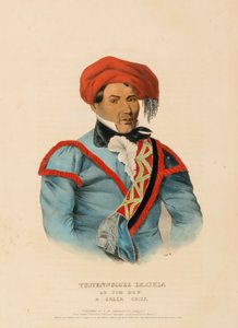 TUSTENNUGGEE EMATHLA, från Historien om Nordamerikas indianstammar av Charles Bird King