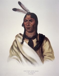 "Det sömniga ögat" av Charles Bird King