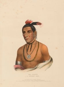 WA-KAWN, EN WINNEBAGO-HÖVding, från Historien om Nordamerikas indianstammar av Charles Bird King