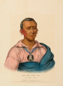 WAT-CHE-MON-NE, EN IOWAY-HÖVding, från Historia om Nordamerikas indianstammar av Charles Bird King