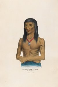 Wa-bish-kee-pe-nas - Den vita duvan av Charles Bird King