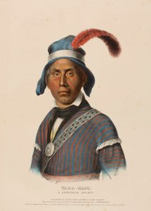YAHA-HAJO. A SEMINOLE CHIEF., från Historia om indianstammarna i Nordamerika av Charles Bird King