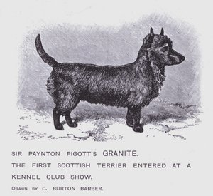 Sir Paynton Pigotts granit (litho) av Charles Burton (after) Barber