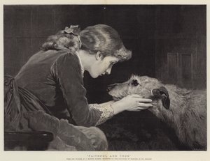 Trogen och Sann