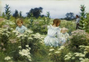 Bland vildblommorna