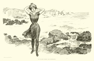 Illustration för The Social Ladder av Charles Dana Gibson