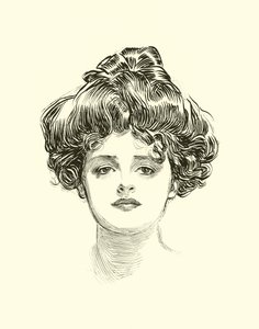 Illustration för The Social Ladder av Charles Dana Gibson