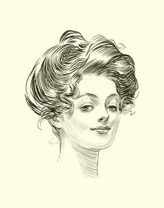 Illustration för The Social Ladder av Charles Dana Gibson