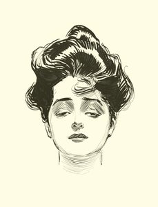 Illustration för The Social Ladder av Charles Dana Gibson