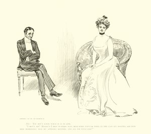Illustration för The Social Ladder av Charles Dana Gibson