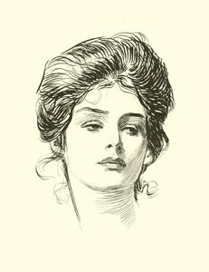 Illustration för The Social Ladder av Charles Dana Gibson