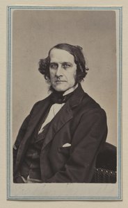 Erastus Brooks av Charles DeForest Fredricks