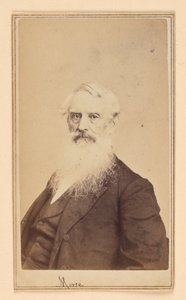 Samuel F. B. Morse av Charles DeForest Fredricks