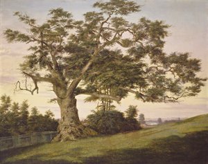 The Charter Oak av Charles de Wolf Brownell