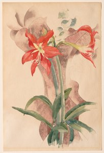 Amaryllis av Charles Demuth