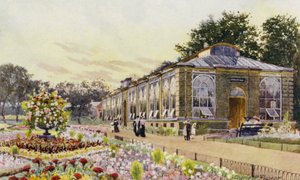 London Zoo: Monkey House (färg litho)