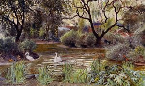 London Zoo: Three Island Pond (färg litho)