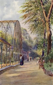 London Zoo: Western Aviary (färg litho)