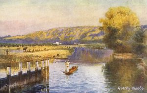 Floden Themsen: Quarry Woods (färglitografi) av Charles Edwin Flower
