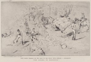 Resningen i Rhodesia av Charles Edwin Fripp