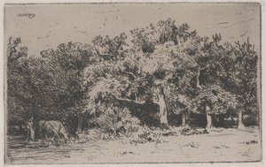 Ett hörn av skogen Fontainebleau (etsning) av Charles Emile Jacque
