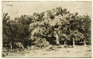 En del av skogen Fontainebleau av Charles Emile Jacque