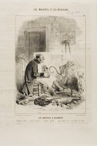 Ett djursjukhus (skylt 20) av Charles Emile Jacque